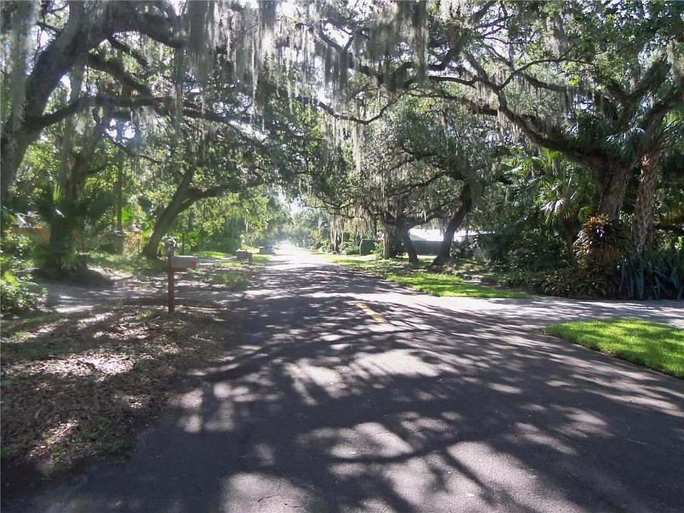 Ancient Oak lined street