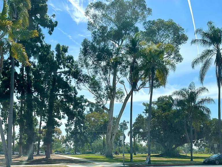 Balboa Park