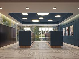 Indigo at McLean Station I