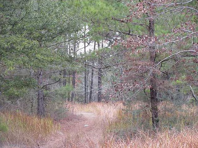 1st image of Padgett Rd