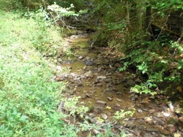 Gaps Chapel Rd, Sneedville, TN 37869