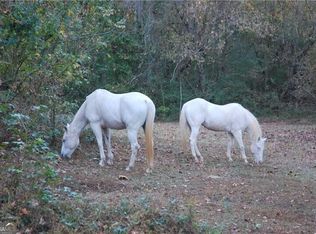 4271 Panthersville Rd, Ellenwood, GA 30294