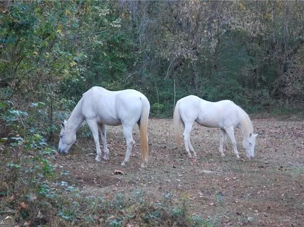 4271 Panthersville Rd, Ellenwood, GA 30294