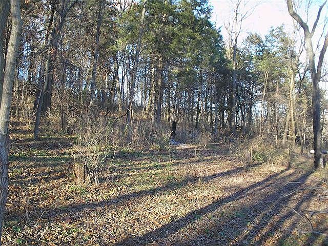 2nd image of 1 Cactus Acres Rd