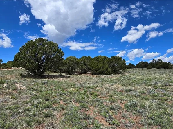 391 Shawnee Trail, Westcliffe, CO 81252