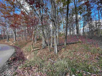 Dodson Run Rd, Beverly, WV, 26253