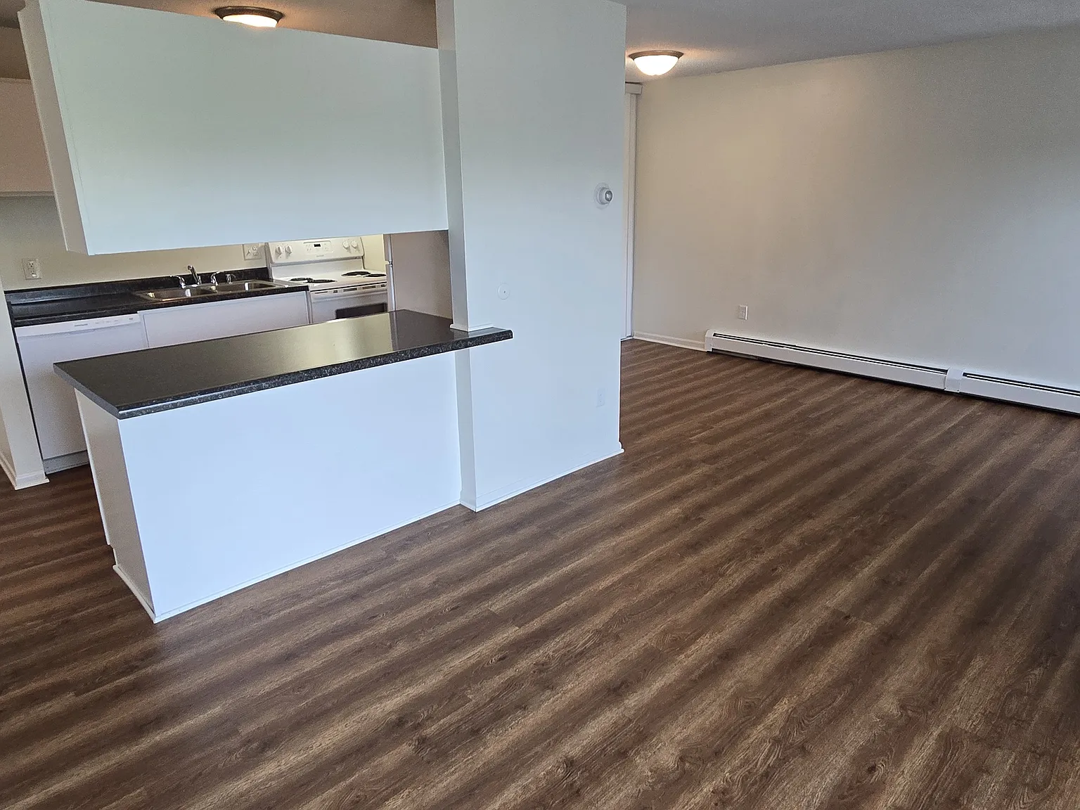 1 bed, 800 sqft, $1,145 — Photo 3