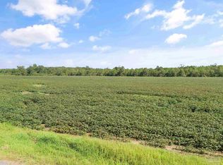 PARCEL 5 Mineral Springs Rd, Jay, FL 32565