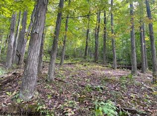 114.25 / Acres St, Jane Lew, WV 26378
