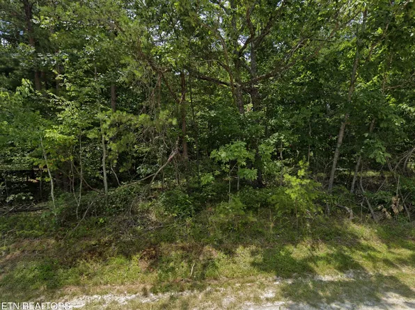 113 Wycliff Ln, Fairfield Glade, TN 38558