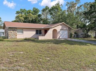 2482 Allegro Ave, Spring Hill, FL 34609