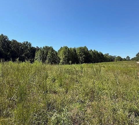 3rd image of 11150 Blackberry Forest Way