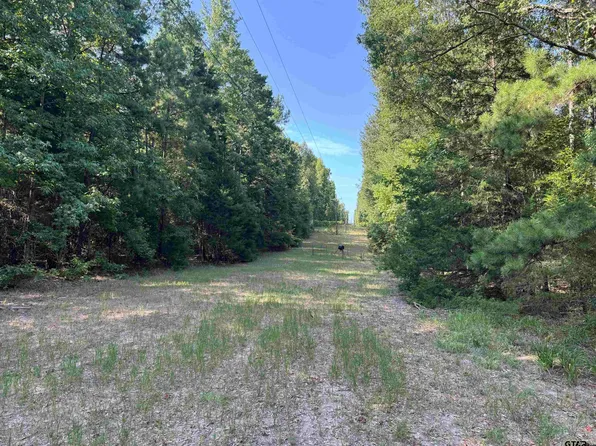 1301 An County Rd #3552, Palestine, TX 75803