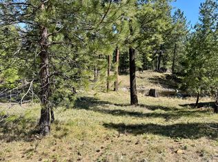 Nhn Mossy Rock Ct, Thompson Falls, MT 59873