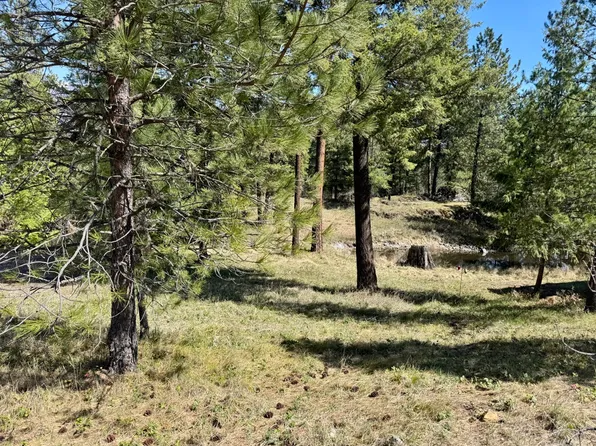 Nhn Mossy Rock Ct, Thompson Falls, MT 59873