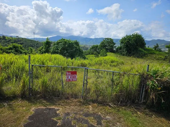 T 1 Bo Arenas Carr 734 Km #6.3, Cidra, PR 00739