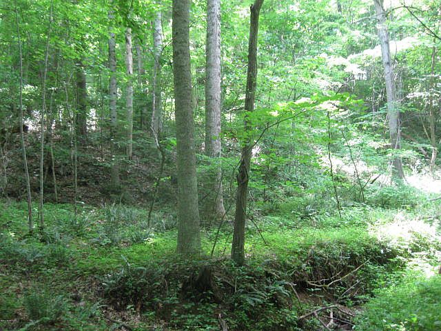2nd image of Craigs Mtn. Rd
