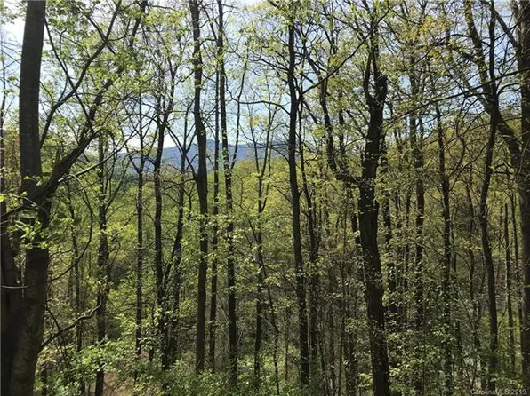 Lot 20 Magnolia Way #20, Waynesville, NC 28786