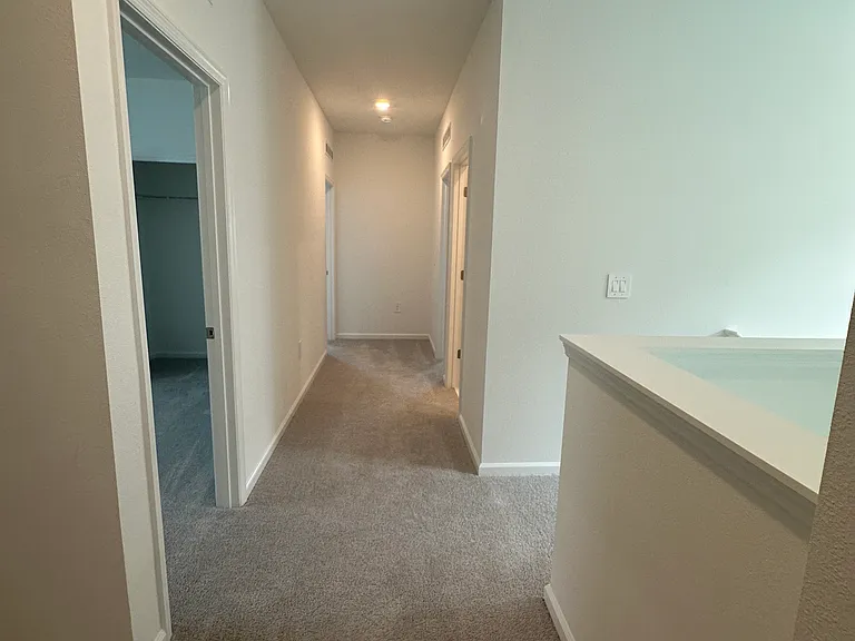 2981 Good Vibes Way — Photo 41