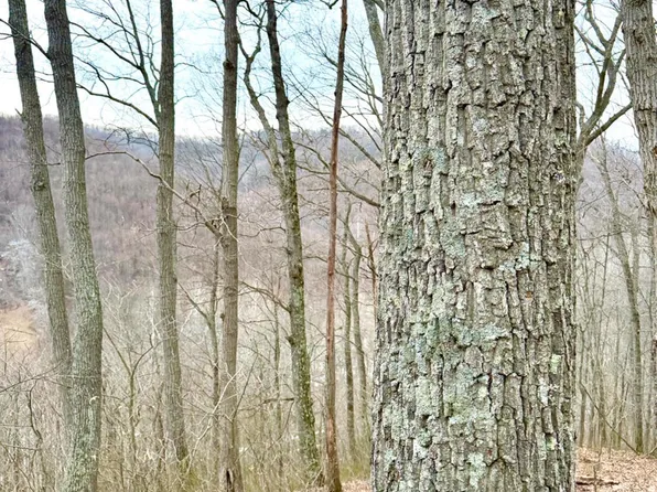 0 Straight Creek Rd, Beaver, OH 45613