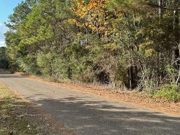 0 Cathey Ln Lot B, Navasota, TX 77868