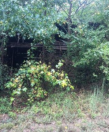 5th image of 154 Lantern Acres Dr