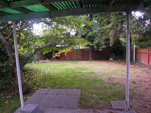 Back Yard