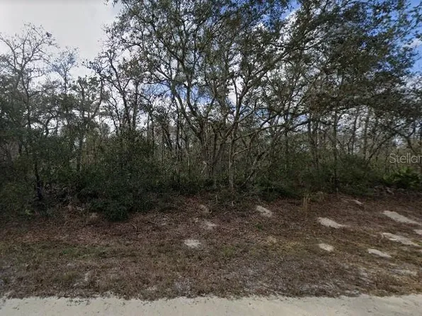 Coalstone Dr Lot 7, Webster, FL 33597