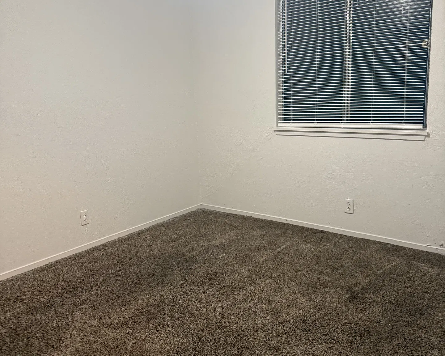 2 bed, 750 sqft, $1,600 — Photo 4