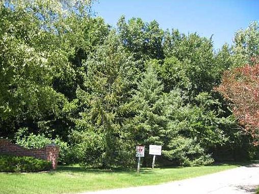 1st image of 4203 Old Oak Dr NE