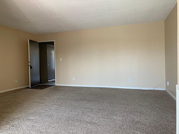 Living room and entry