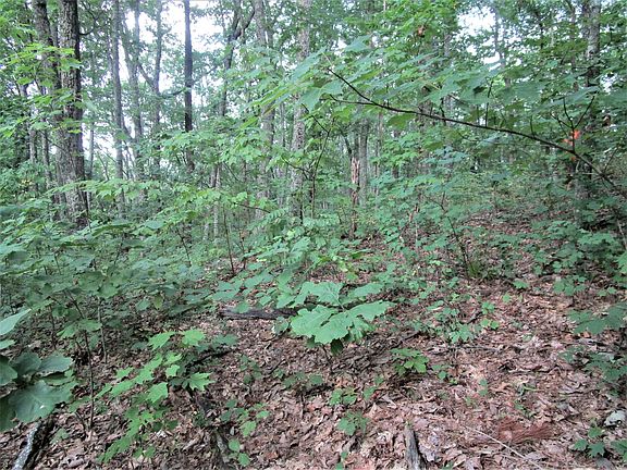 4th image of 611 Solomon Seal Way Lot 40