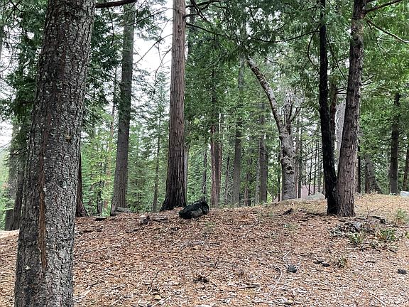 2nd image of 3065 Apache Rd