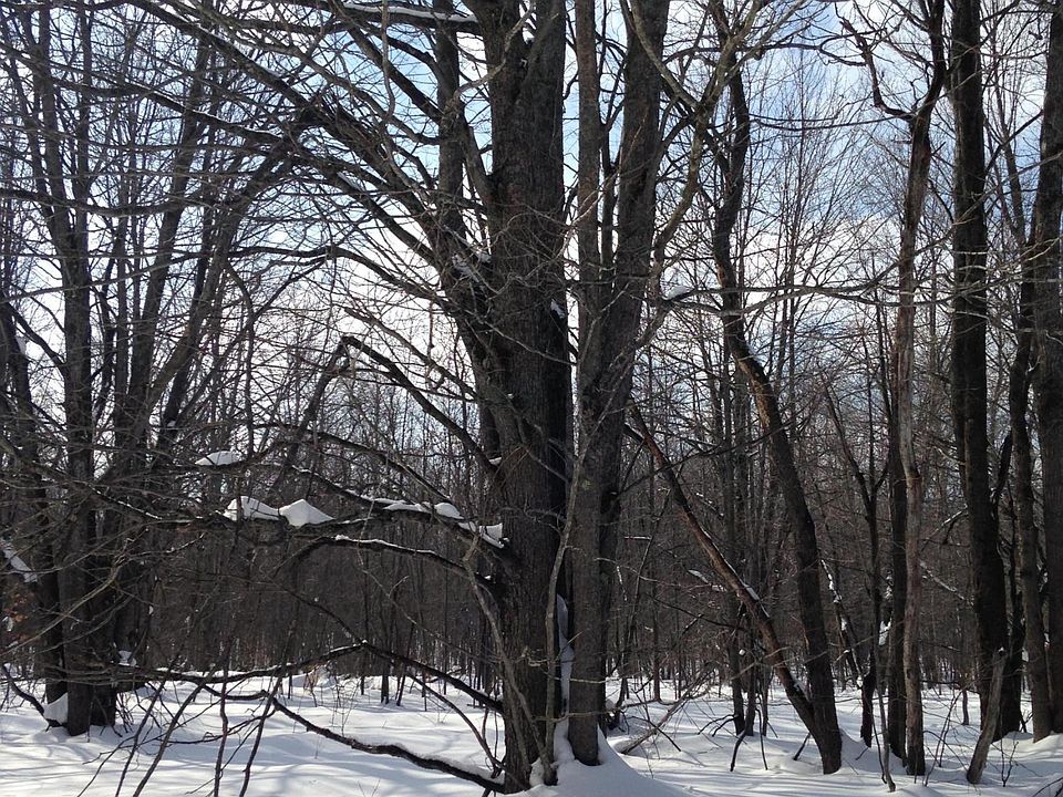 1st image of Crestrose Dr