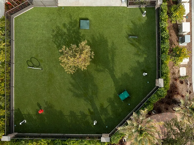 Where pets can move freely