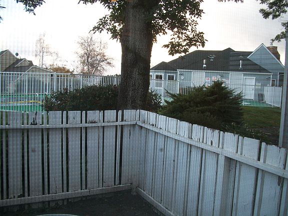 View from back patio
