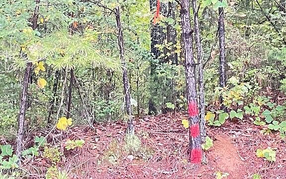 5th image of 0 Medon Malesus Rd