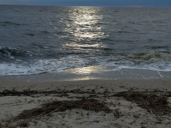 Cloudy morning on the Beach.