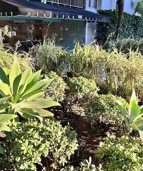 906 N Doheny Dr #512 — Photo 48