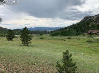 15 Pejn Path, Lake George, CO 80827