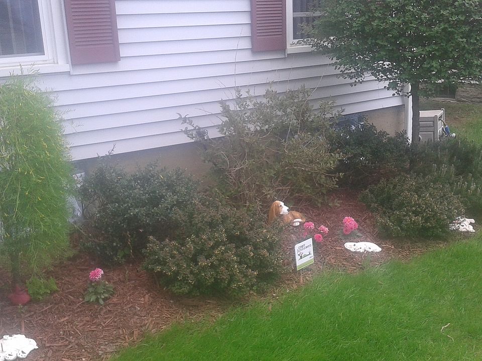 36 Linden Ave, Jamestown, NY 14701 Zillow