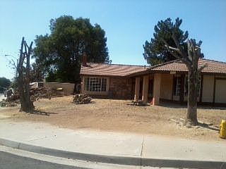 Beginning of project