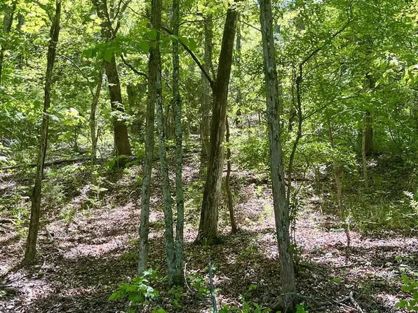 Thunderbird Ln #35, Eureka Springs, AR 72631