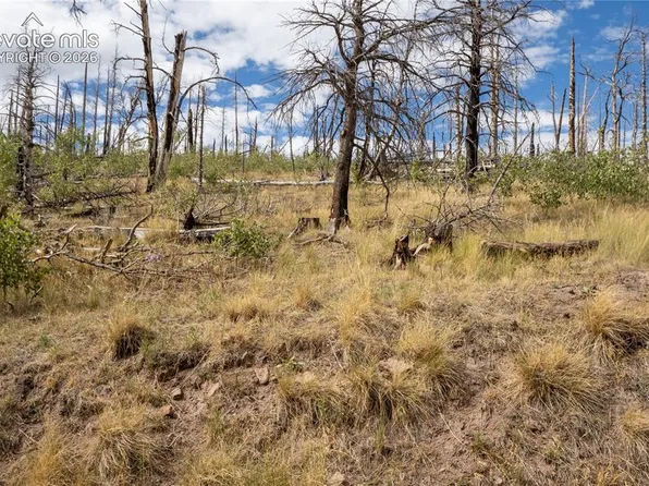 LOT 2748 Grojean Dr, Fort Garland, CO 81133