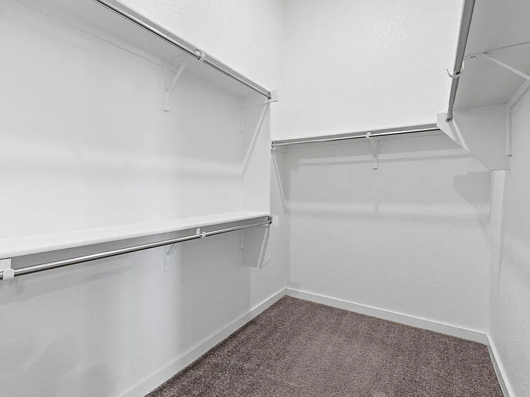 1204 Texas Ash Ln — Photo 24