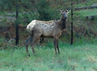 126 Alhambra Dr, Ruidoso, NM 88345