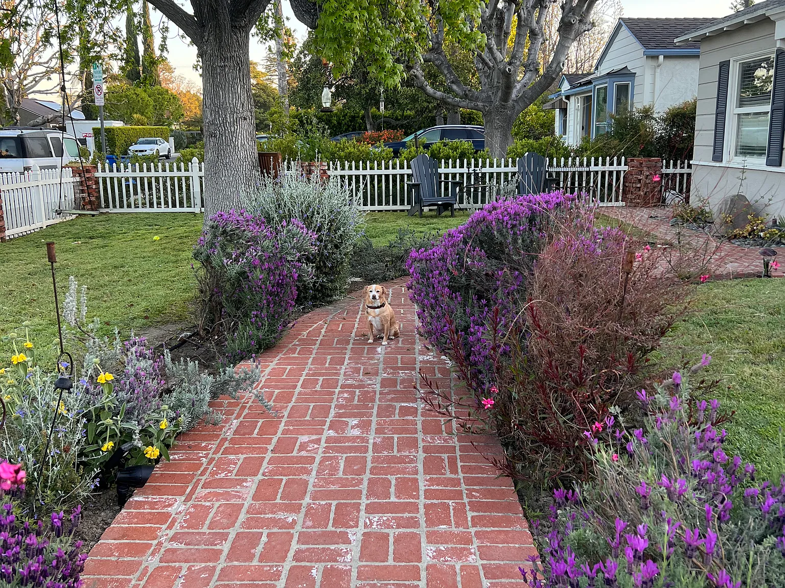 Morella Avenue, Valley Village — Photo 2