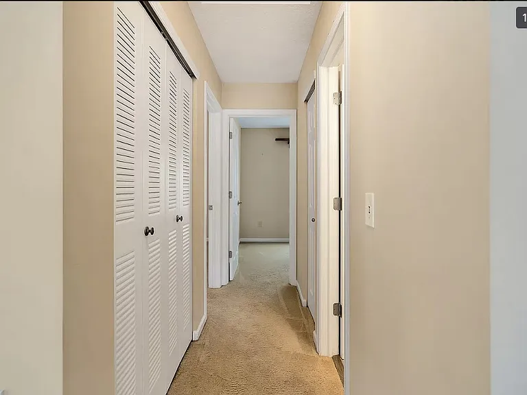 548 Scotch Pine Dr — Photo 15