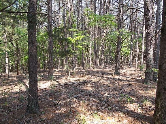 5th image of LOT 7 Hickory Cove Ln