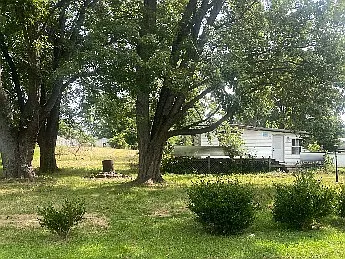 3 bed, 980 sqft, $1,149 — Photo 3